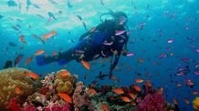 Scuba Diving At Paradise Beach