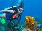 Scuba Diving at Paradise Beach