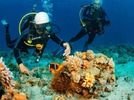 scuba diving at Paradise Beach