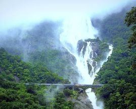 Dudhsagar Waterfalls in Goa