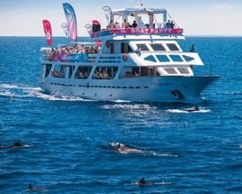 Adventure Boat Party With Lunch