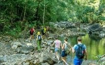 Nature and trekking experience near Dudhsagar Falls